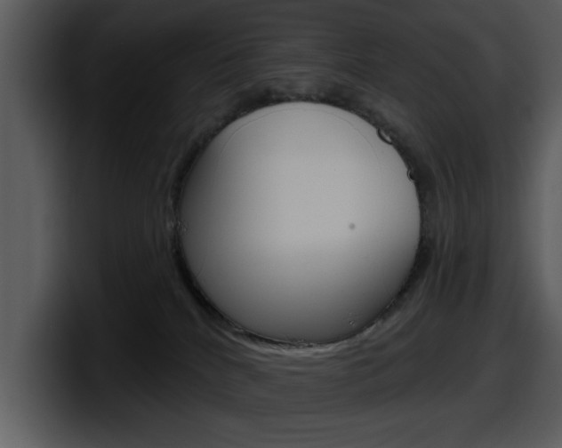 X0000098090040200804040735