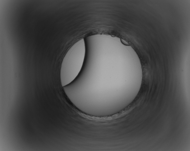 X0000098090042200804040735