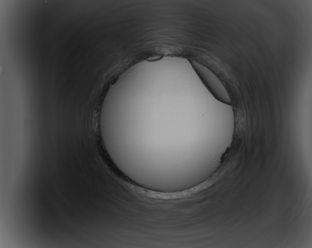 X0000098090043200804040735