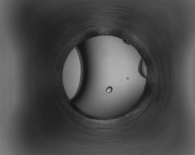 X0000098090044200804040735