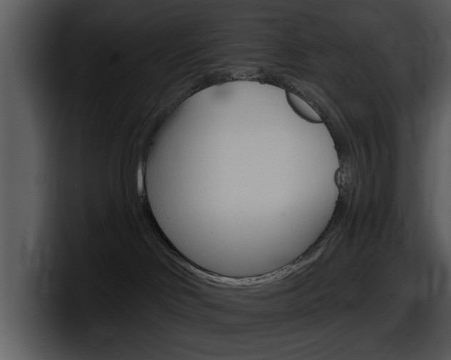 X0000098090046200804040735