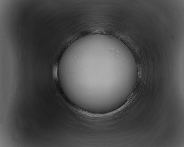 X0000098090047200804040735