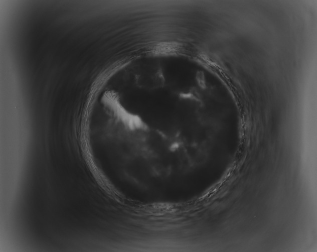 X0000098090049200804040734
