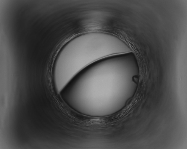 X0000098090050200804040734