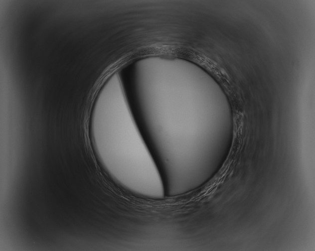 X0000098090051200804040734