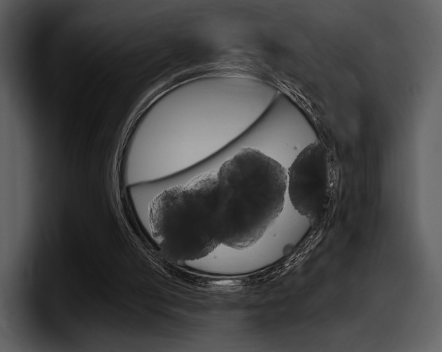 X0000098090053200804040734