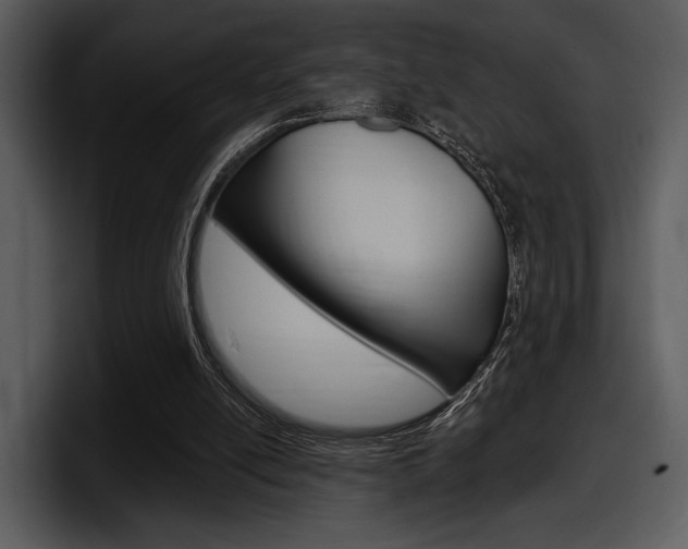 X0000098090054200804040734