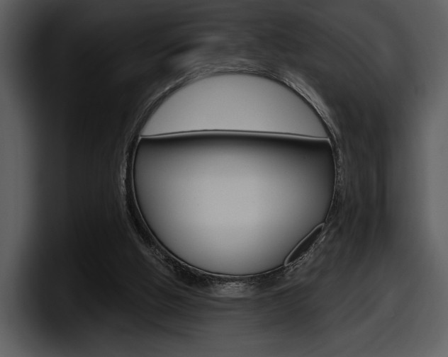 X0000098090058200804040734