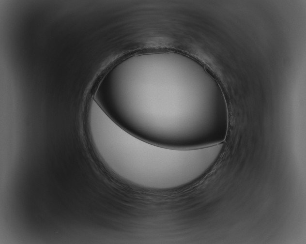 X0000098090060200804040734