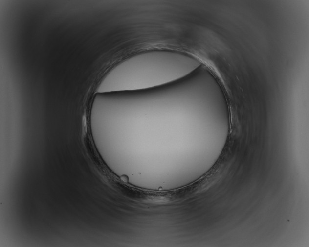 X0000098090061200804040734