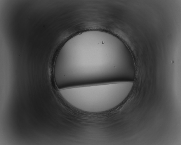 X0000098090063200804040734
