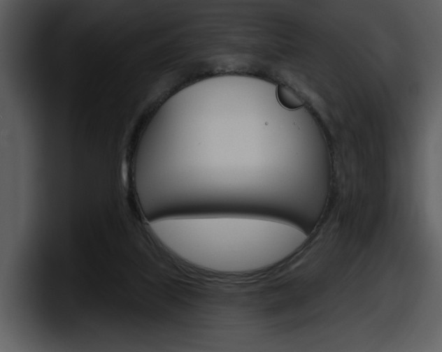 X0000098090067200804040735
