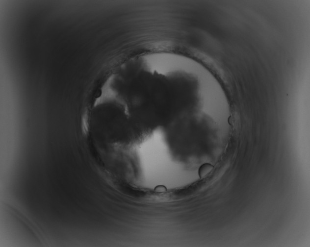 X0000098090069200804040735