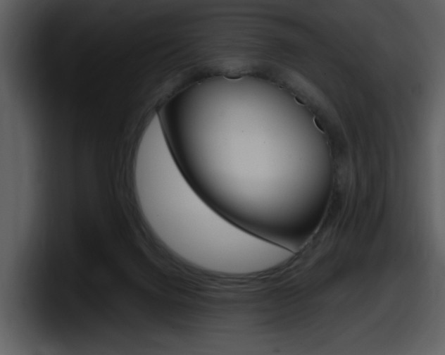 X0000098090072200804040735