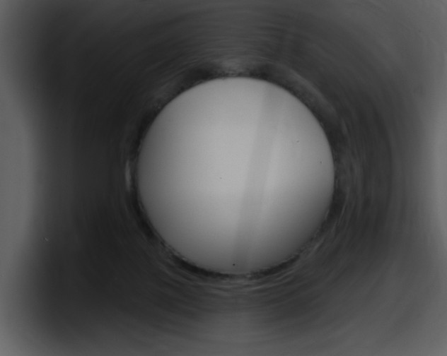 X0000098090075200804040735