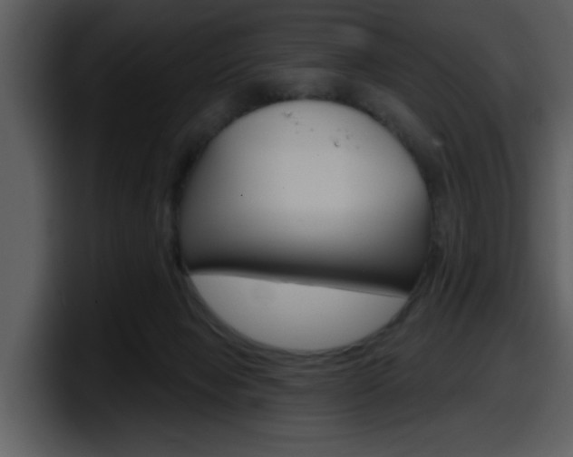 X0000098090077200804040735