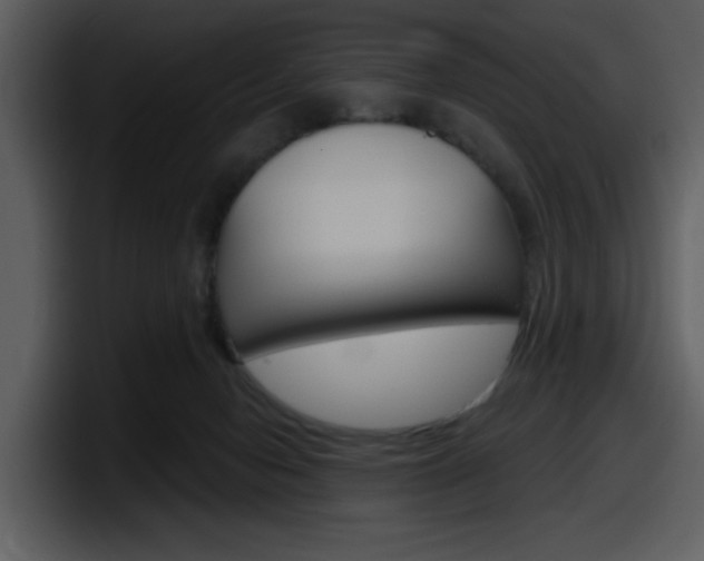 X0000098090078200804040735