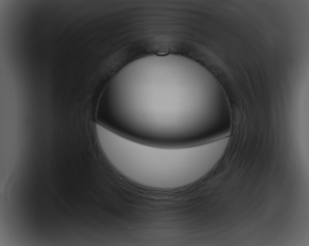 X0000098090080200804040735