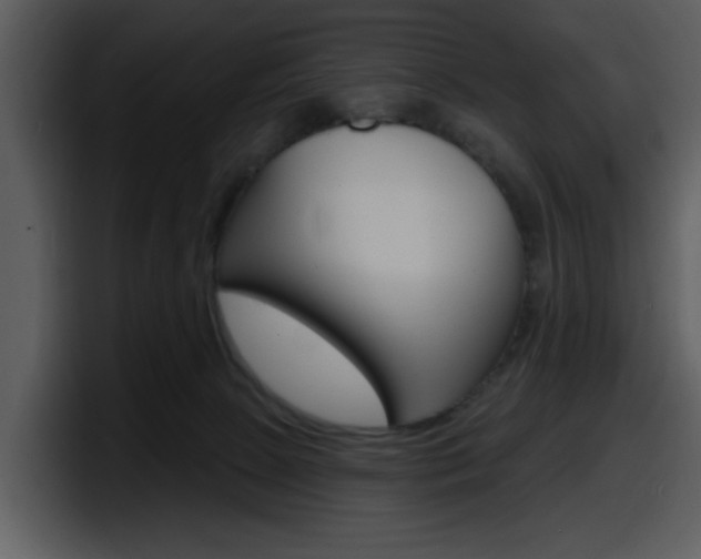 X0000098090081200804040735