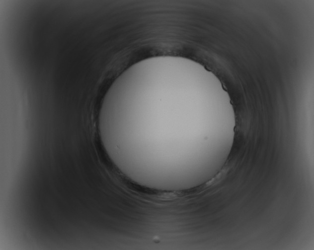 X0000098090086200804040735