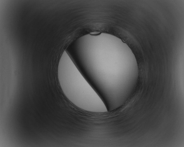 X0000098090089200804040735