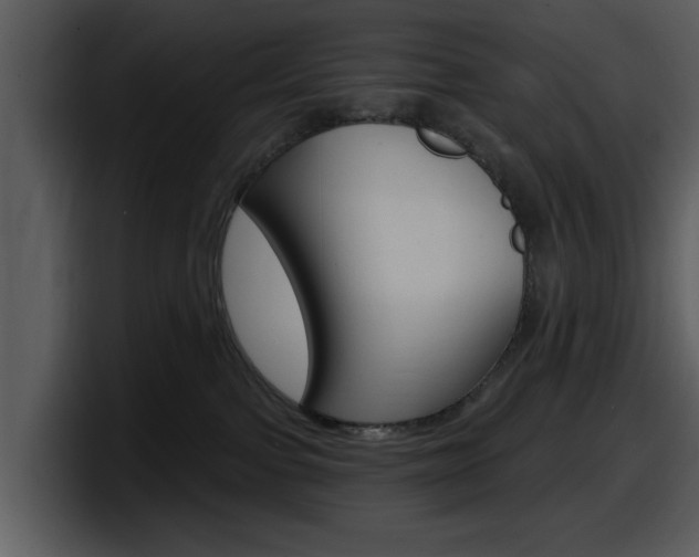 X0000098090091200804040735