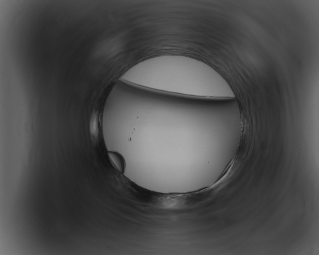 X0000098090094200804040735