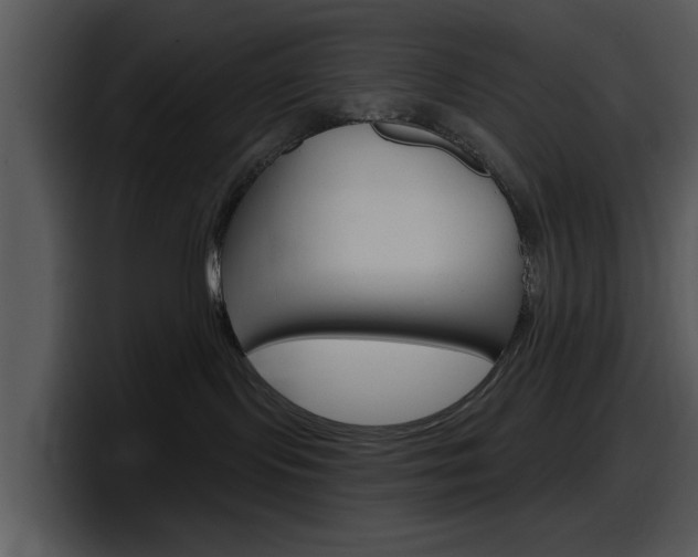 X0000098090095200804040735