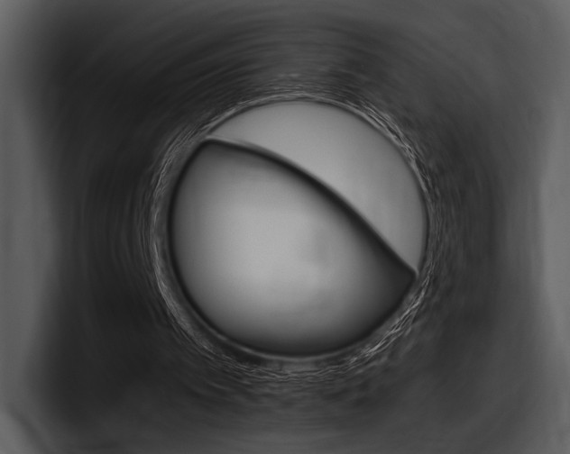 X0000098090097200804040734