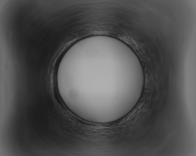 X0000098090098200804040734