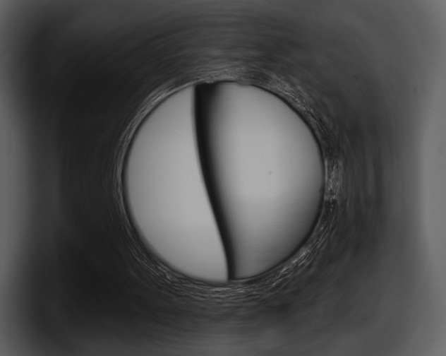 X0000098090099200804040734