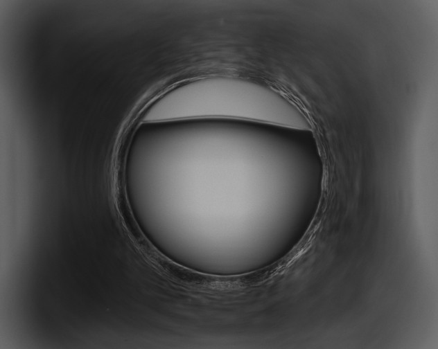 X0000098090101200804040734