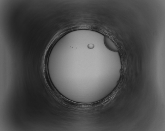 X0000098090102200804040734