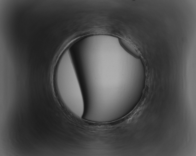 X0000098090103200804040734