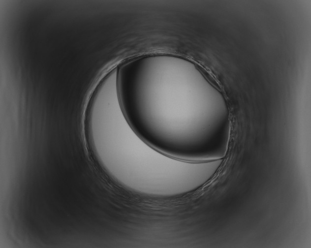 X0000098090104200804040734