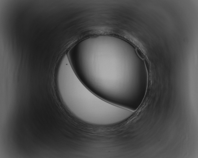X0000098090105200804040734