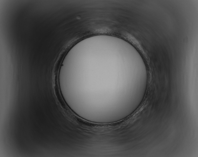 X0000098090106200804040734
