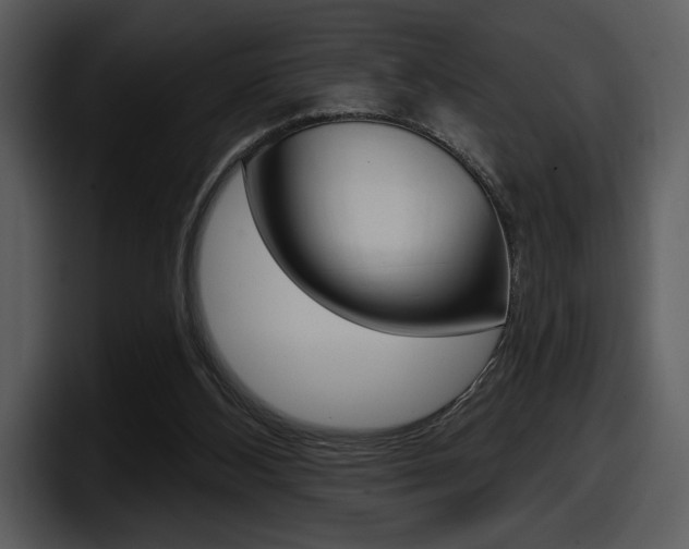 X0000098090108200804040734