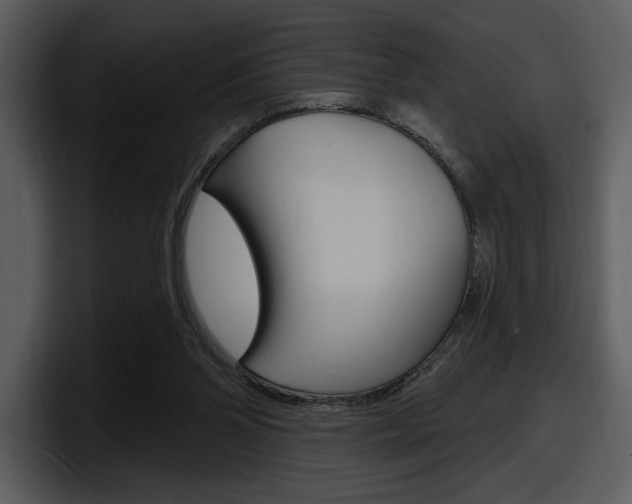 X0000098090110200804040734