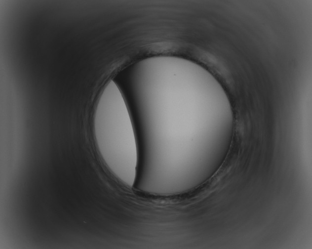 X0000098090115200804040734