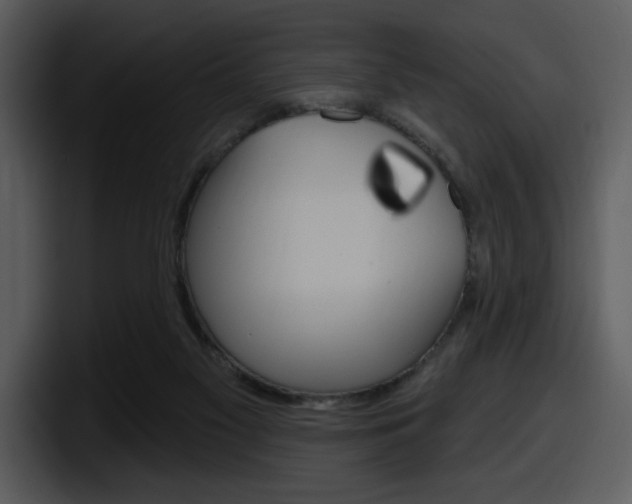 X0000098090117200804040734