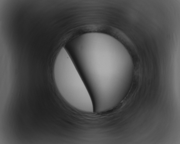X0000098090119200804040734
