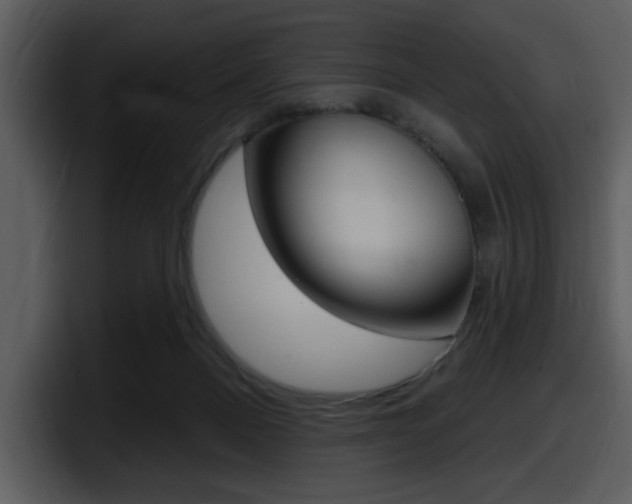 X0000098090120200804040734