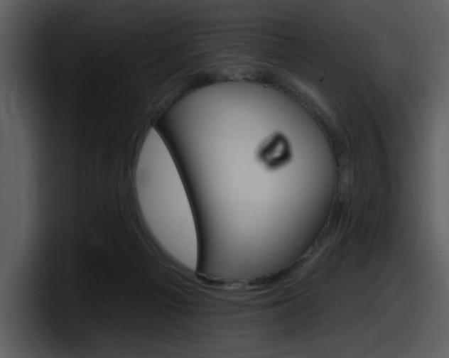 X0000098090121200804040734
