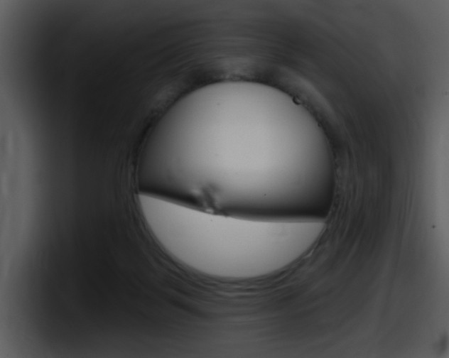 X0000098090123200804040734