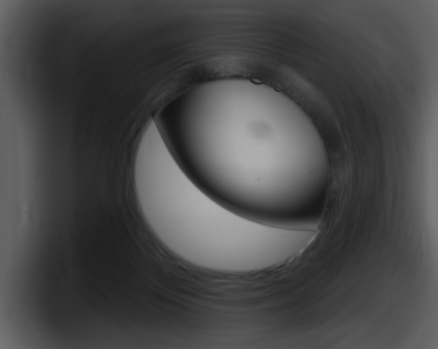 X0000098090124200804040734
