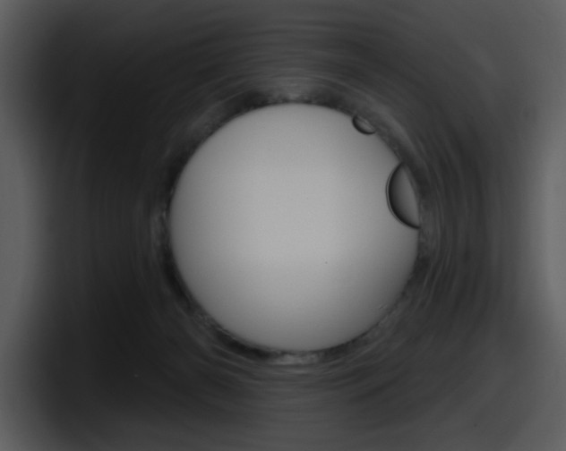 X0000098090126200804040734