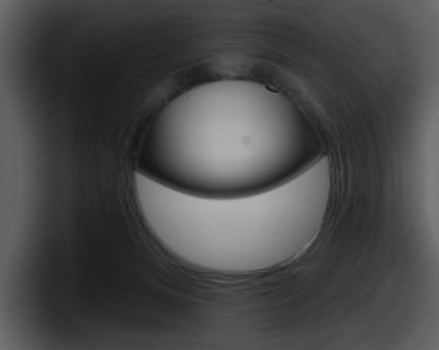 X0000098090128200804040734