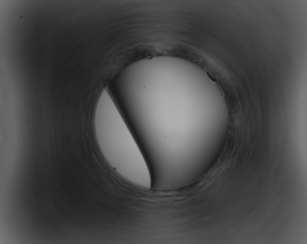 X0000098090129200804040734