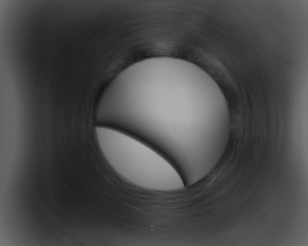 X0000098090131200804040734